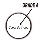 Logo Grade A
